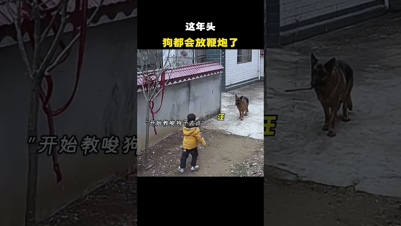 请看VCR…  #名场面 #离谱操作 #杂谈