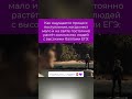 Счастливых вам голодных игр Shorts поступление егэ университет Счастливых вам голодных игр Shorts поступление егэ университет