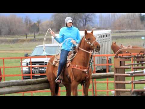 Crystal & Little Big ~ Breakaway Roping