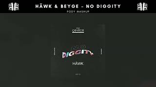 HÄWK & BEYGE – No Diggity (FODY MASHUP) Resimi