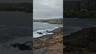 Sydney in Soft Grey 🌫 | Cloudy Day Aesthetic screenshot 2