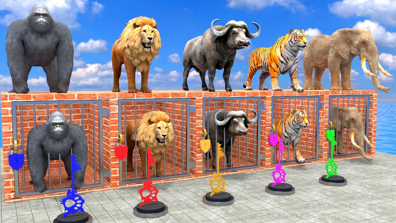 Long Slide Game With Cow Elephant Gorilla Hippopotamus Tiger - 3d Animal Game - Funny 3d Animals