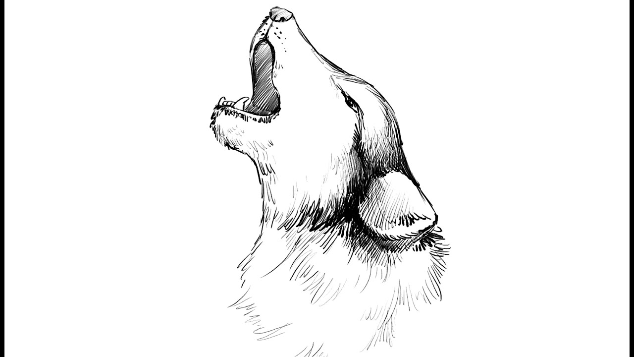 simple howling wolf drawing