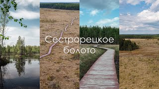 Сестрорецкое болото | Eco-trail