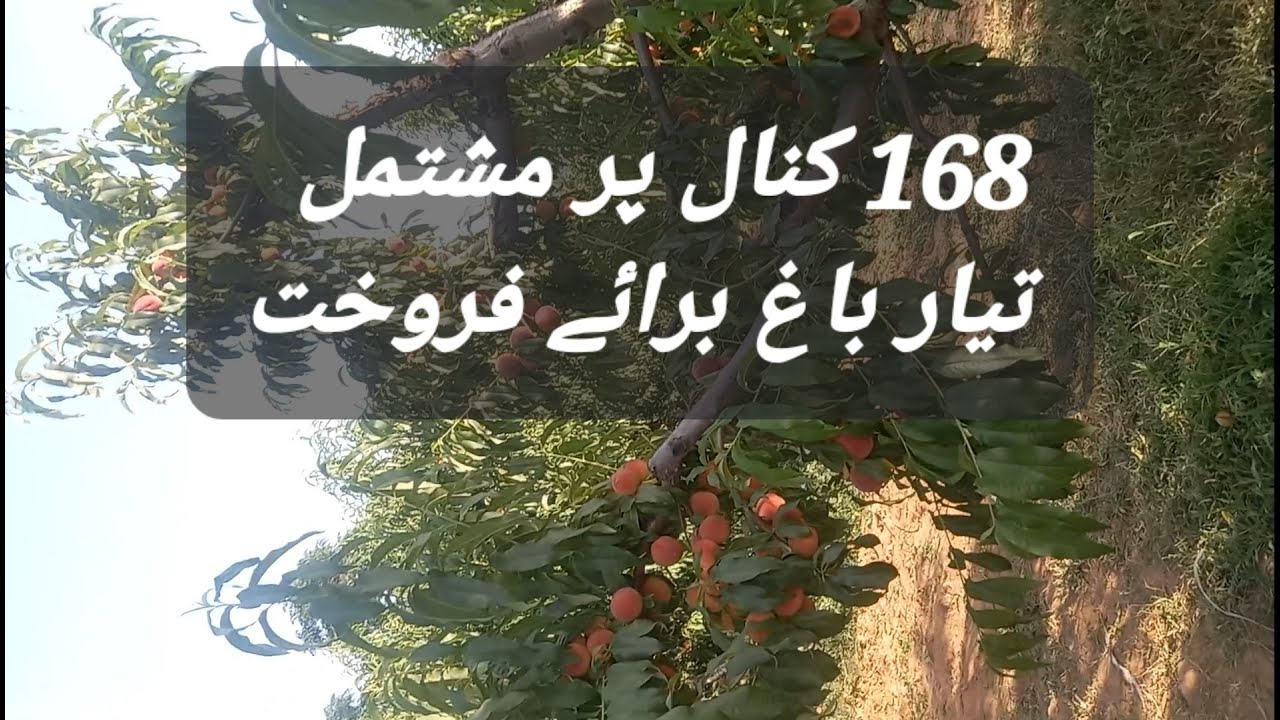 Land for sale YouTube