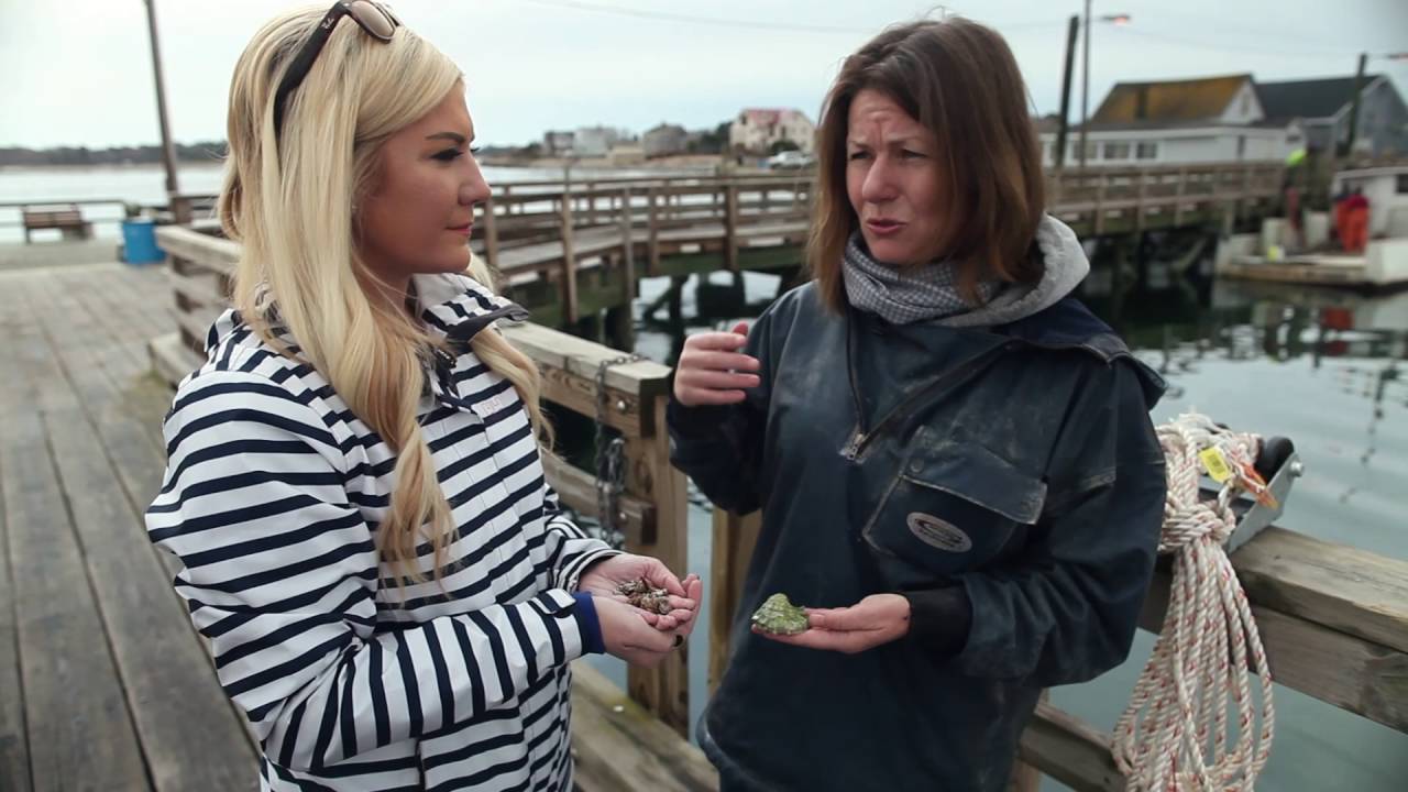 S1 - Episode 8 - Nonesuch Oyster Farm
