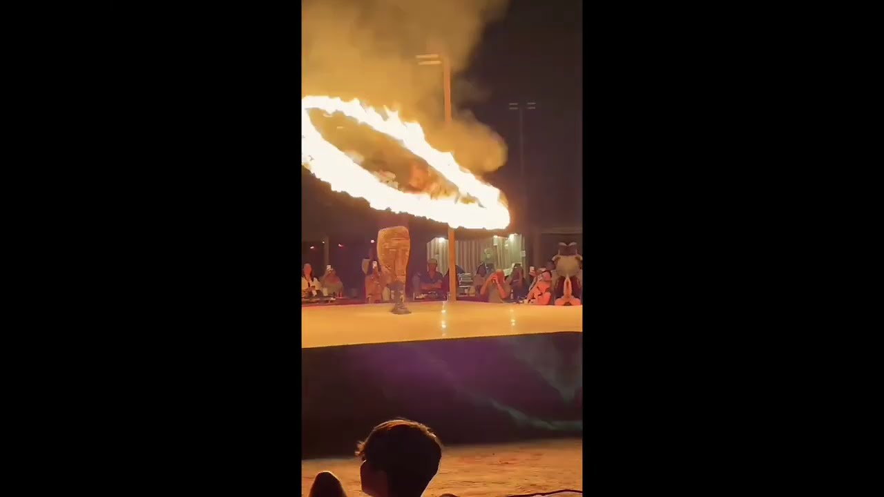 night camp shows of desert safari 