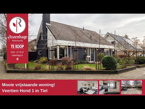 Veertien Hond 1   Tiel