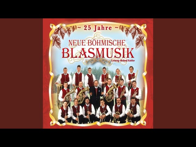 Steirisch Böhmische - Musik im Blut
