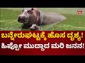 Bannerghatta National Park | ಬನ್ನೇರುಘಟ್ಟ ಜೈವಿಕ ಉದ್ಯಾನಕ್ಕೆ ಅತಿಥಿಗಳು!