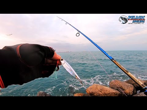 Video: Ano Ang Jig Fishing