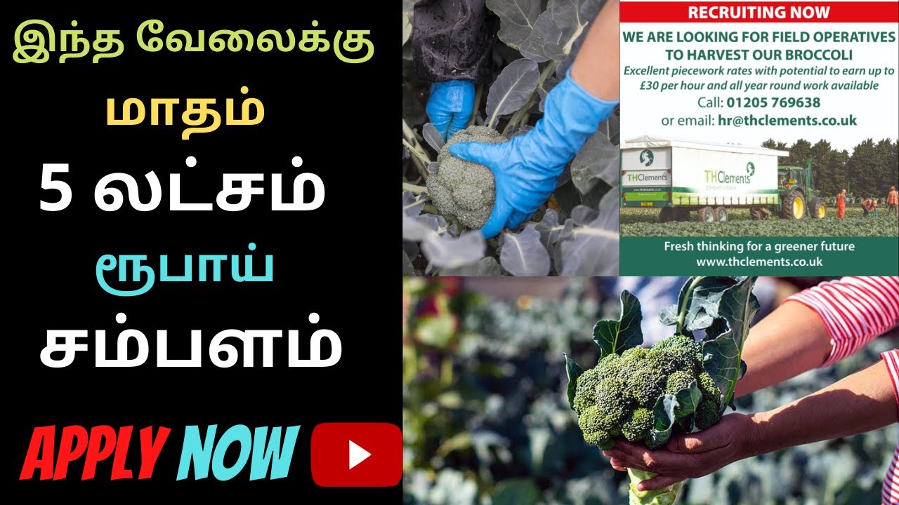 Earn 5 Lakhs Per Month | Foreign Jobs 2021 | Abroad Jobs 2021 | TH Clements Jobs 2021 | Siva Speaks