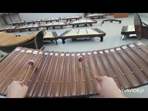 สื่อการสอนเพลงนกน้อย(ระนาดเอก)