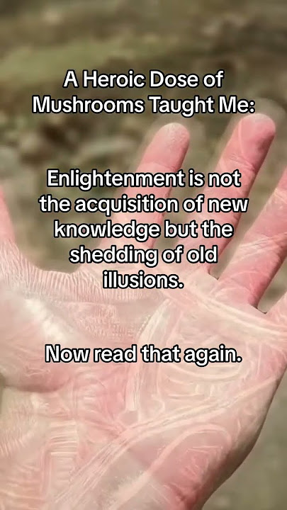 A Heroic Dose of Mushrooms Taught Me... #Shorts #Psychedelic #Healing #Enlightenment