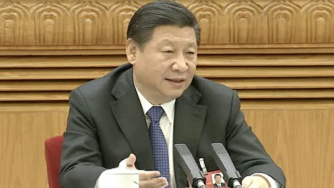 Chinese President Xi Jinping Attends Panel Meeting of NPC Deputies from Heilongjiang Province - DayDayNews