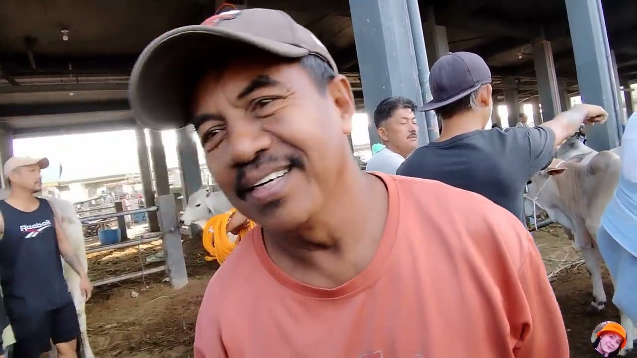 Presyo ng mga baka bumaba na nga ba? 