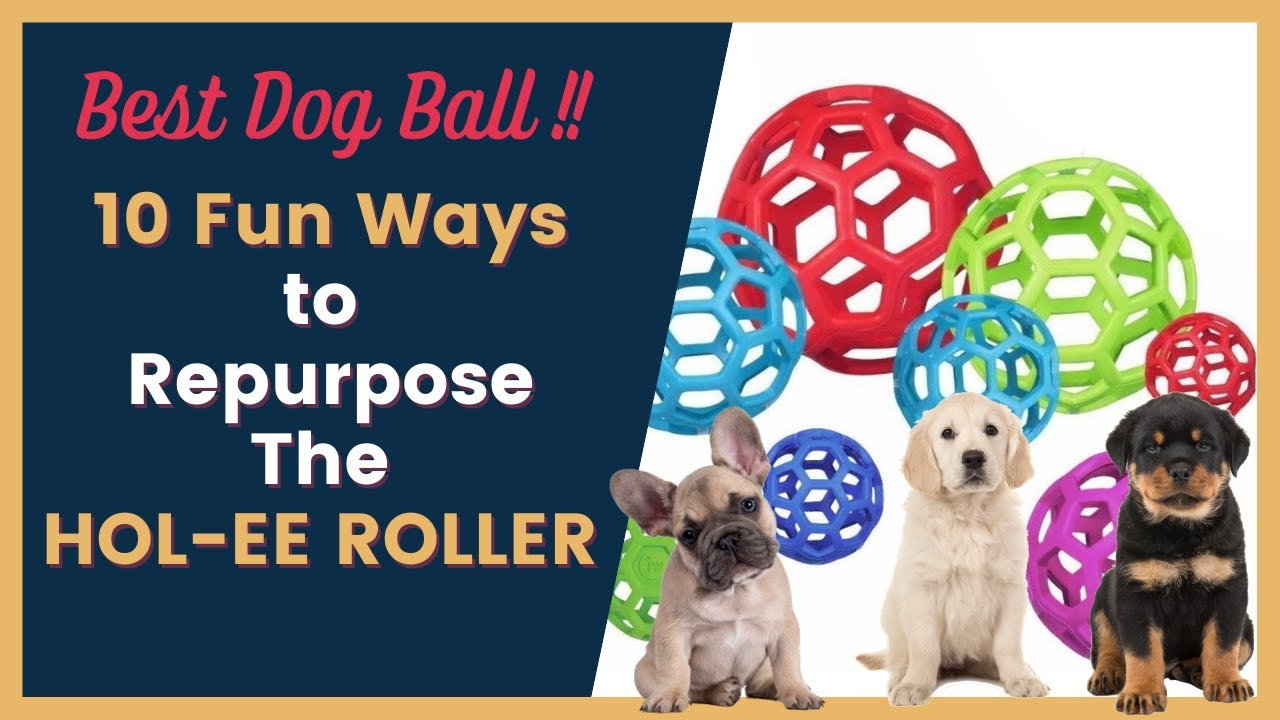 Hol-EE Roller Dog Toy: 10 Ways To Play, DIY Dog Toy, Dog Ball, Hol-EE  Roller Dog Toy: 10 Ways To Play, DIY Dog…