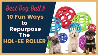 Best Dog Ball - 10 Ways to Use the Hol-ee Roller by How To Train A Dream Dog 4,210 views 5 months ago 8 minutes, 40 seconds