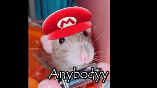 Mouse plays Super Mario Theme (Overworld)