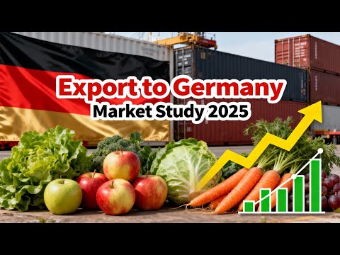 فرص ذهبية للتصدير إلى الماني في الفيديو ده هتعرف أهم المنتجات المطلوبة الأسعار وازاي تبدأ صح 