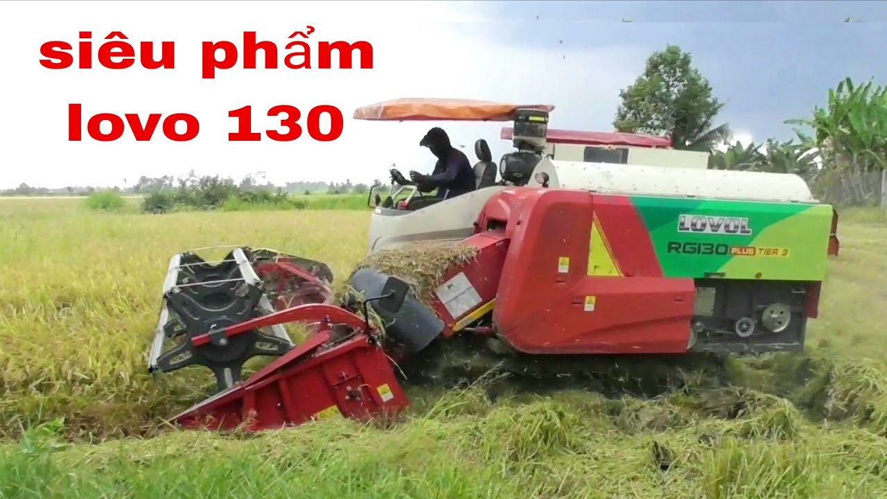 XEM SIÊU PHẨM MÁY CẮT LÚA LIVO 130 CẮT LÚA ĐÔNG XUÂN CỰC PHAO