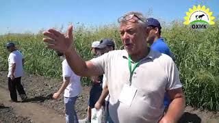 видео: «Технология возделывания гибридов подсолнечника на примере ТОО «Опытные хозяйство масличных культур» картинка: «Технология возделывания гибридов подсолнечника на примере ТОО «Опытные хозяйство масличных культур»