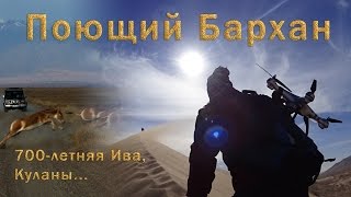 Поющий Бархан и 700-летняя Ива | Движение - жизнь