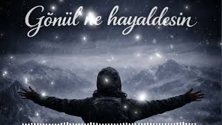 Gönül Ne Hayaldesin Ai̇