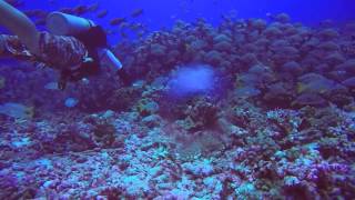 Fakarava - North Pass 13 Sep 2015 Update