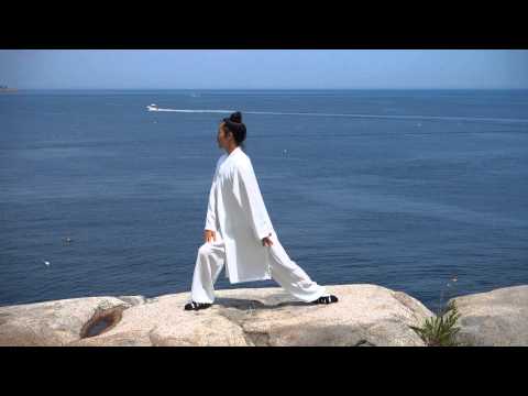 Eight Pieces of Brocade / BaDuanJin / å«æ®µé¦ / Qigong 