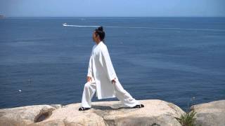 Eight Pieces of Brocade / BaDuanJin / 八段锦 / Qigong