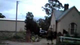 Felching Faggots In The Village Ewa5R