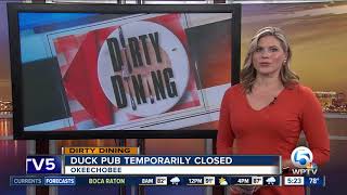 DIRTY DINING: Rodent droppings found at pub in Okeechobee County