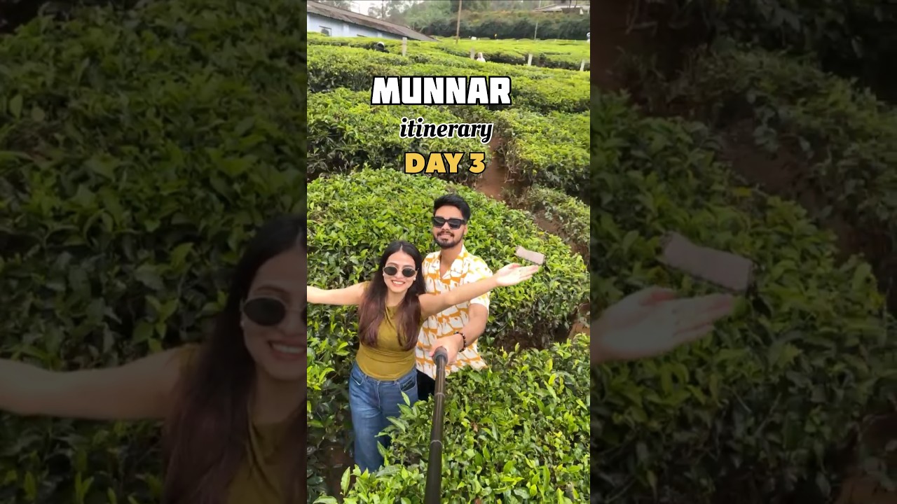 Best of Munnar Day 3! | 5 Must-Visit Spots in Munnar! #shorts