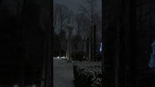 Локация стремительная река #паркгалицкого #новыйгод #mountains #travel #краснодар #music #light