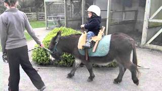 Louis Riding A Donkey