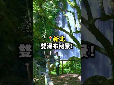 號稱北部最美森林之一！隱藏雙北超美超簡單森林遊樂園區！