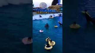 song #ajvlogs #beautiful famous people are enjoying the water 💦 waves