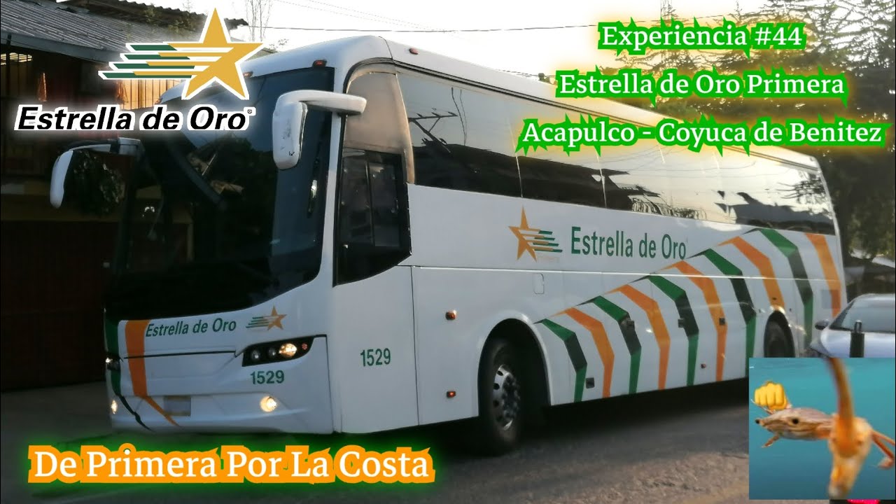 La Cebra Costeña | Estrella de Oro Primera | Acapulco Costera - Coyuca de Benitez | Experiencia #44