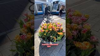 10.4.2026 #amsterdam #tulpen #tulpenfestival #nederlands #travel #bike #architecture #leidseplein