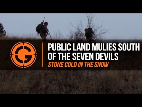 LRP Highlights | S1 E15 Public Land Mulies South of the Seven Devils