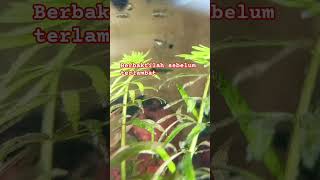 Download Lagu renungan singkat #quotes #katabijak #dakwahislam #nasehatislami #shortvideo MP3