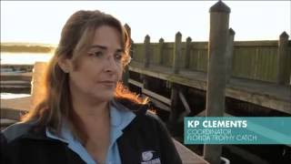 The Best Place for Bass Fishing: Lake Toho