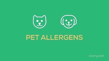 Welcome To Everlywell