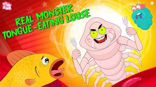 real monster parasite tongue eating louse cymothoa exigua
