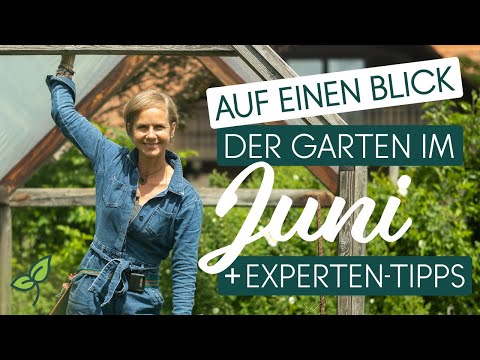 🌸 Was im Juni im Garten zu tun ist! ▶️ Exklusive Tipps von Naturgärtnerin Angelika Ertl