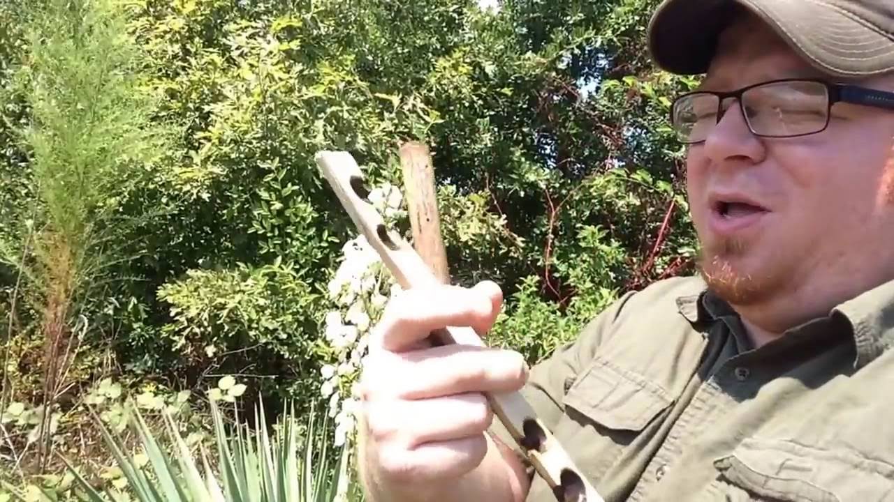 Forager's Find 1: Yucca - Plant ID - YouTube