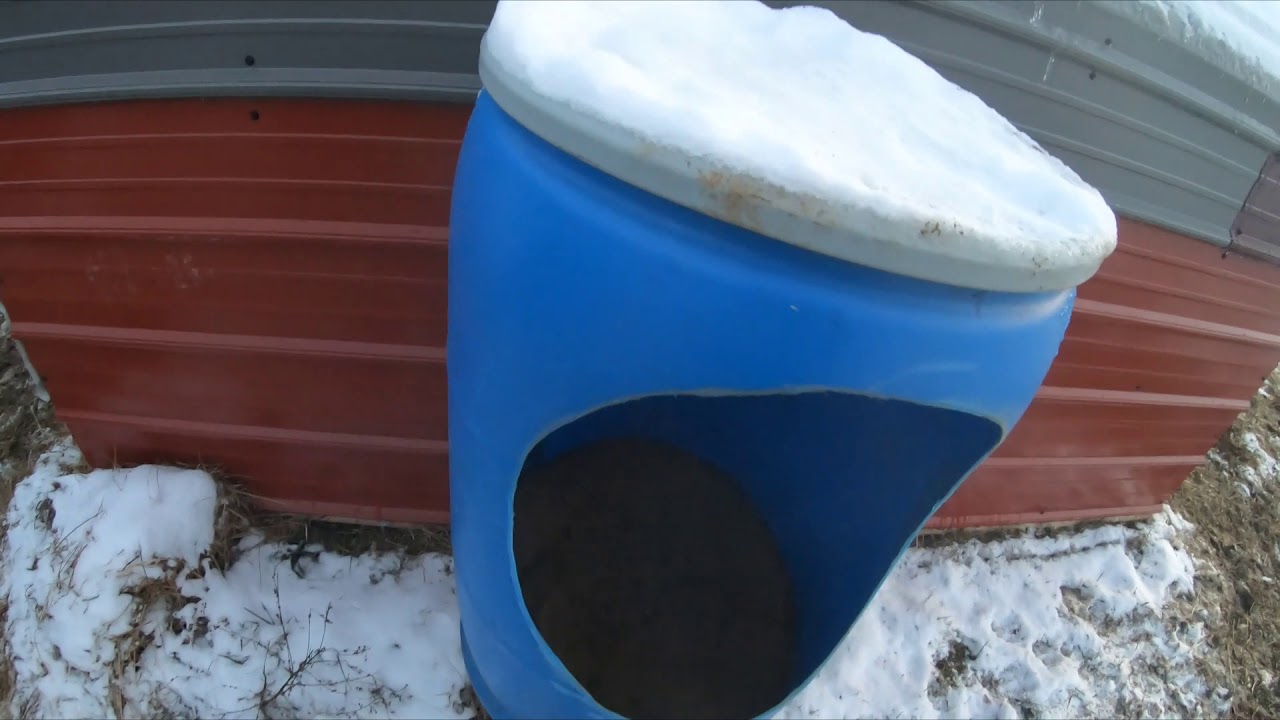 New Calves On The Farm Using Their Homemade Calf Hutch YouTube
