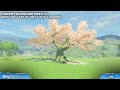 Zelda Tears of the Kingdom - All Cherry Blossom Tree Locations Guide (Reveal Cave Entrances)