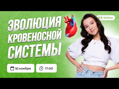 ЭВОЛЮЦИЯ КРОВЕНОСНОЙ СИСТЕМЫ | БИОЛОГИЯ | ОГЭ 2023 | 99 БАЛЛОВ